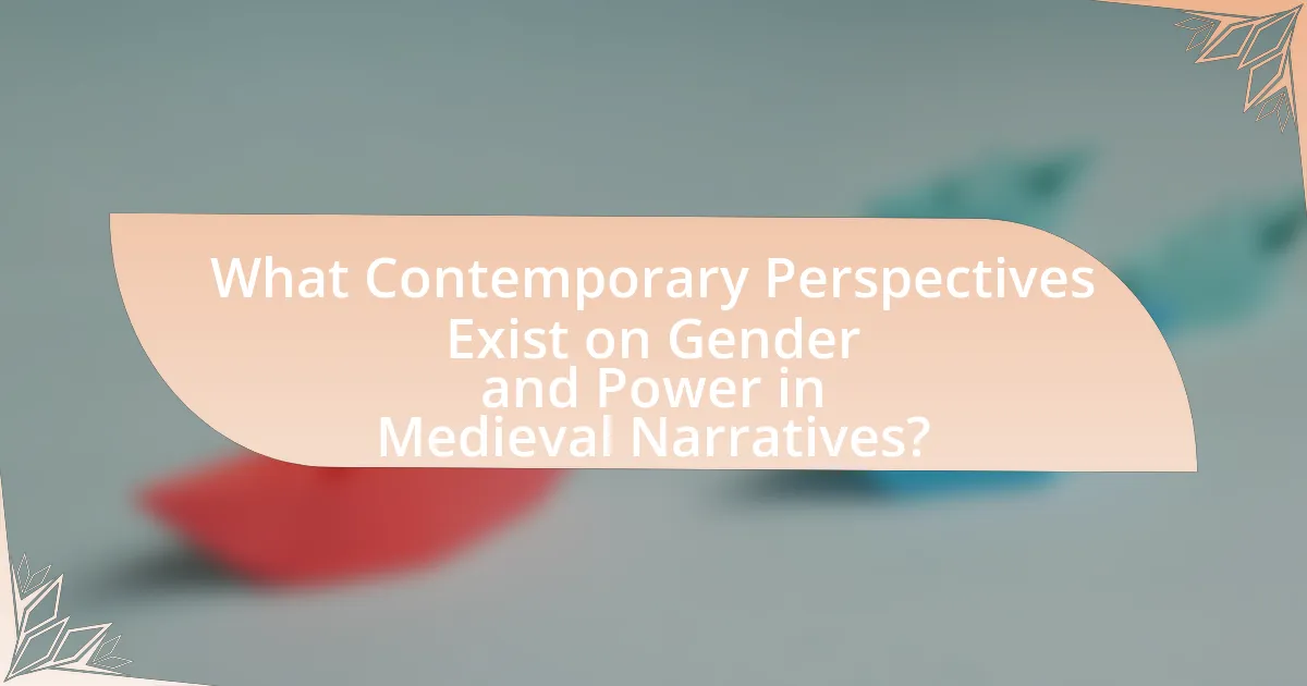 What Contemporary Perspectives Exist on Gender and Power in Medieval Narratives?